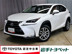 NX300h Iパッケージ
