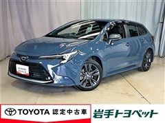 トヨタ カローラツーリング WxB