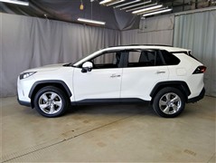 RAV4 G