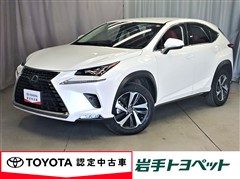 NX300 ヒョウジュンシャ