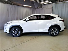 NX300 ヒョウジュンシャ