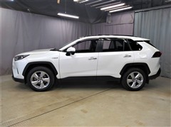 RAV4 ハイブリッドG