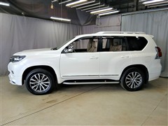 ランドクルーザープラド TZ-G