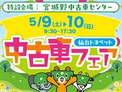 アルファード S Tゴールド3