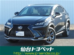 NX300h Fスポーツ
