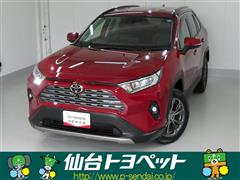RAV4 G