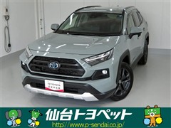 トヨタ RAV4 HV アドベンチャー