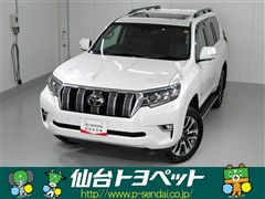 ランドクルーザープラド TZ-G