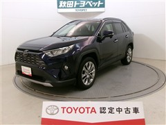RAV4 G Zパッケージ