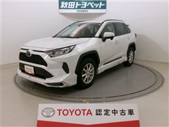 RAV4 X
