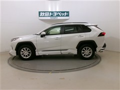 RAV4 X