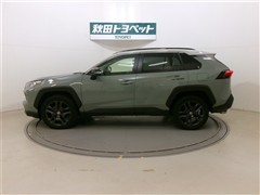 RAV4 アドベンチャー
