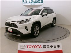 RAV4 G