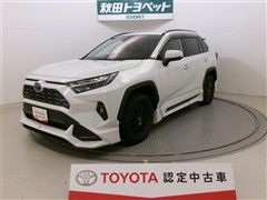 RAV4 ハイブリッドG