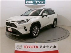 RAV4 G Zパッケージ
