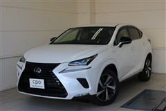 NX300 ブラックシークエンス