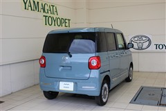 キャンバス セオリー G 4WD