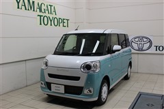 ムーヴキャンバス ストライプス G