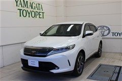 ハリアー プログレスメタル&レザー
