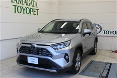 RAV4 G