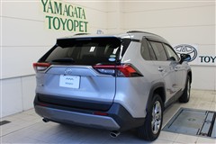 RAV4 G