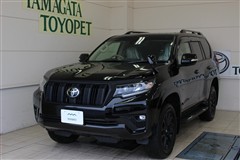 ランクルプラドTX LマッドB