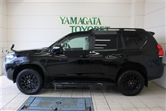 ランクルプラドTX LマッドB