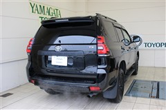 ランクルプラドTX LマッドB