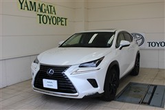 NX300h バージョンL