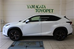 NX300h バージョンL