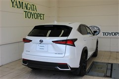 NX300h バージョンL