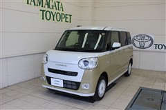 ムーヴキャンバス ストライプス G