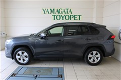 RAV4 X