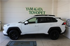 RAV4 アドベンチャーオフロード