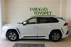 RAV4 X