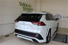 RAV4 X