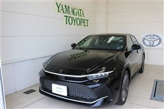 クラウン CO Gアドバ レザー