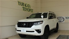 トヨタ ランクル プラドTX LマットBL