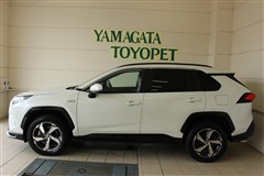 RAV4 PHV G`z