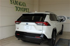 RAV4 PHV G`z