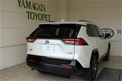 RAV4 PHV G`z