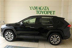RAV4 G Zパッケージ