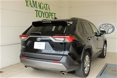 RAV4 G Zパッケージ
