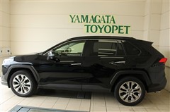 RAV4 G Zパッケージ