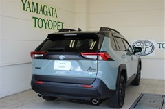 RAV4 HVアドベ オフロード2
