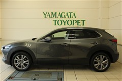 CX-30 20S