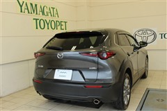 CX-30 20S