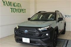 トヨタ RAV4 HVアドベ オフロード2