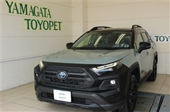 トヨタ RAV4 HVアドベ オフロード2