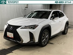 UX250h Fスポーツ